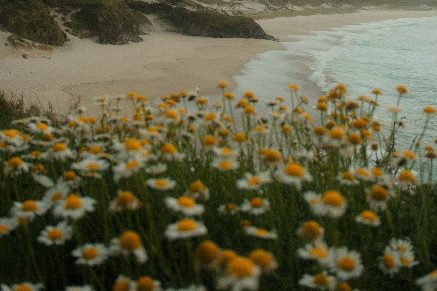 Sandy beach on the Galician coast